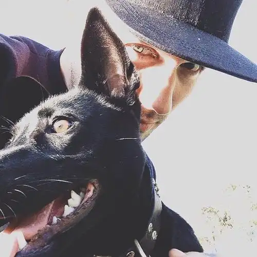 6686体育app高级作者Nina