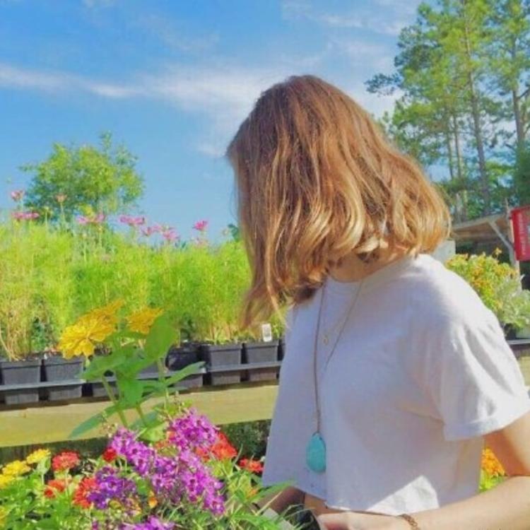 6686体育app中级作者Jocasta