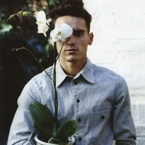 Hoàng hôn nhạt nhòa