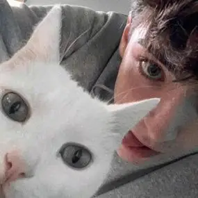 bước dài bằng đá xanh