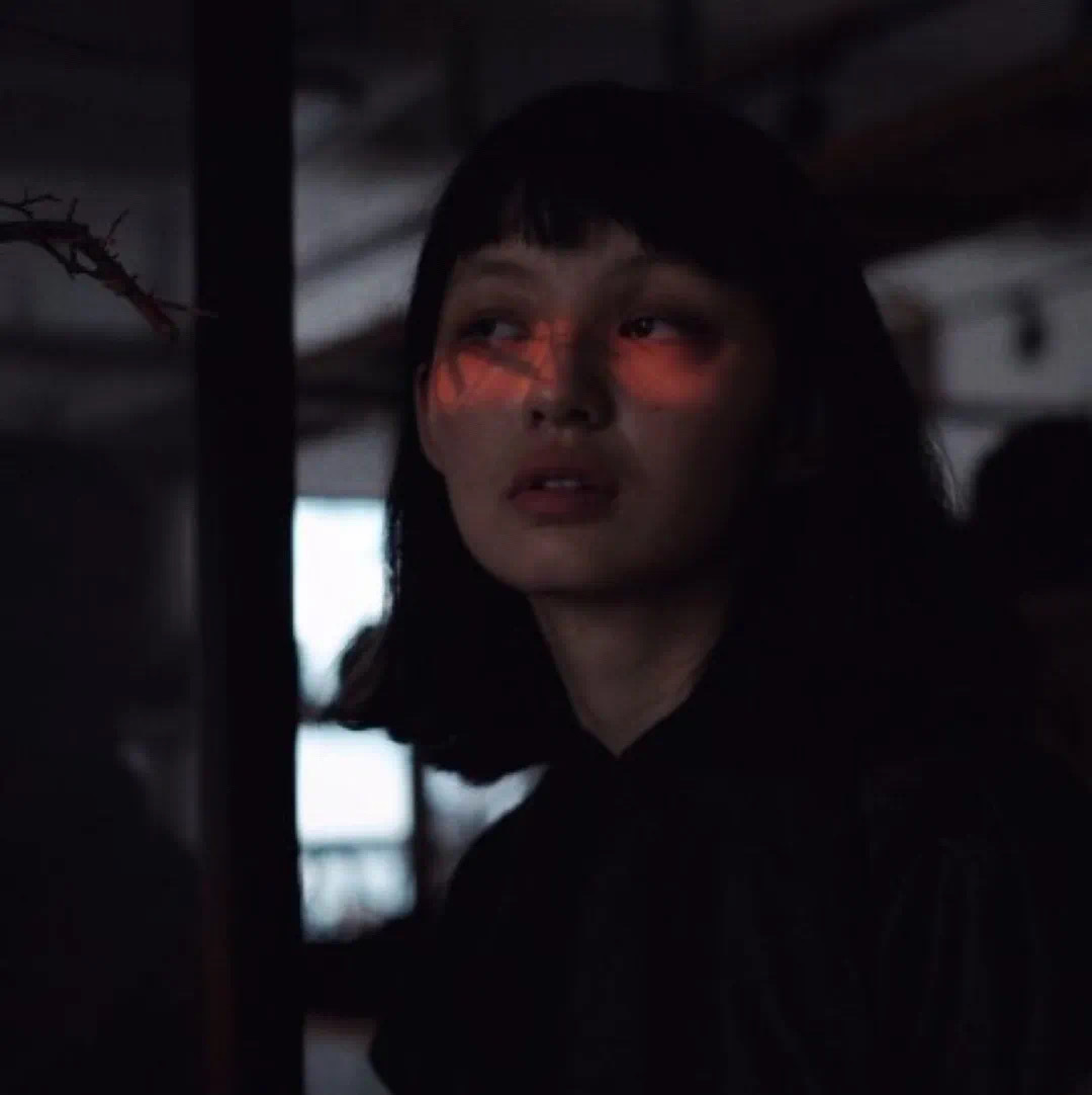 6686体育app官方作者Xenia